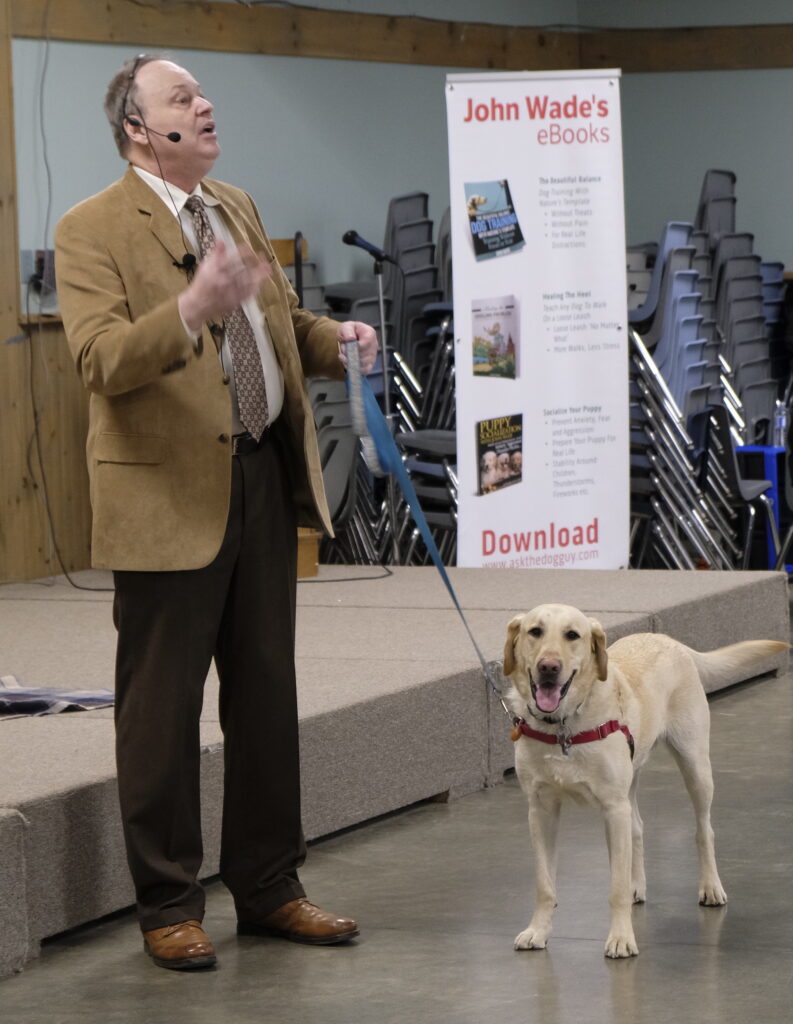 Picture of John Wade speaking in a dog training event. He's holding a leash with a Labrador dog. 